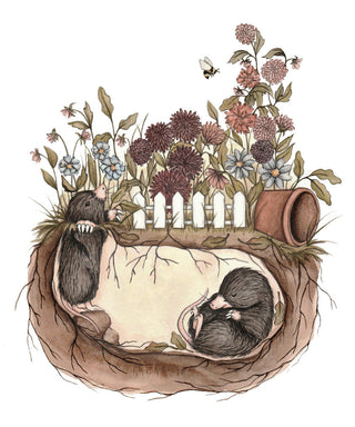 Moles Under the Mum Garden