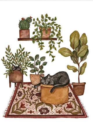 Cats & Plants