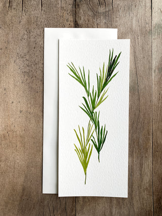 May 6 - Private Basic Watercolor/Ink Class (Sandy Hook group)