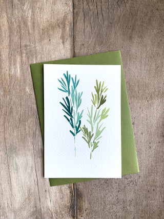 May 6 - Private Basic Watercolor/Ink Class (Sandy Hook group)