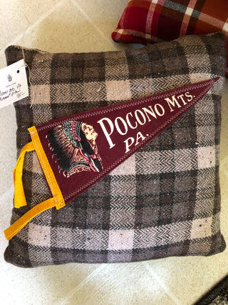 Pocono Mountains Vintage Pennant Pillow