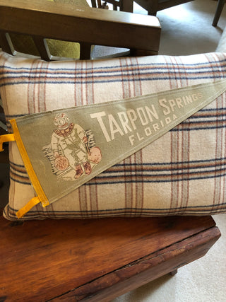 Dahlia Cottage Tarpon Springs Florida pennant pillow