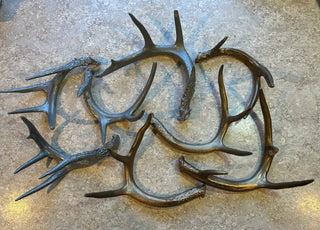 Antler-Metallic Gray or Gold