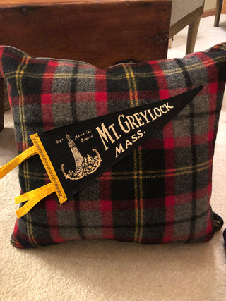 Dahlia Cottage pennant pillow