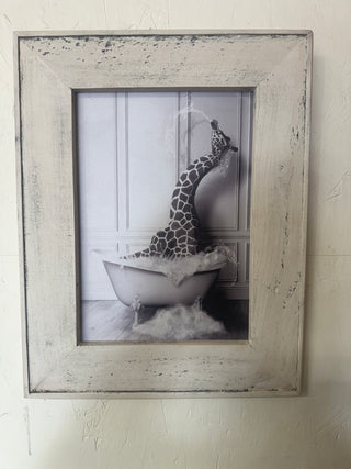 Giraffe in tub (MD)