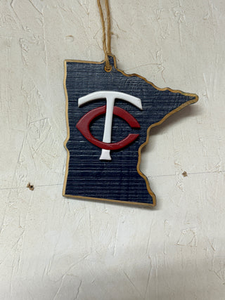 Minnesota twins