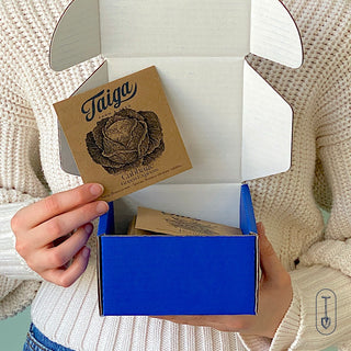 Small Garden Seed Collection