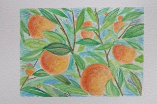 Oranges In Summer