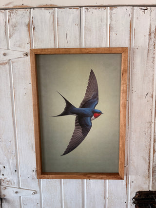 Swallow Bird Print (LG)