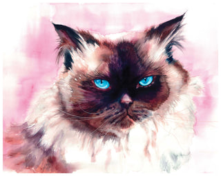 Himalayan Cat Watercolor Print