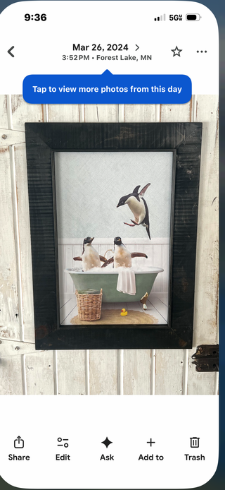Penguins print (LG)