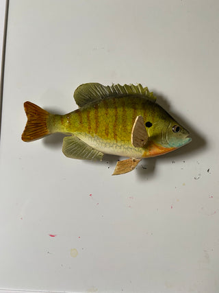 Bluegill Magnet