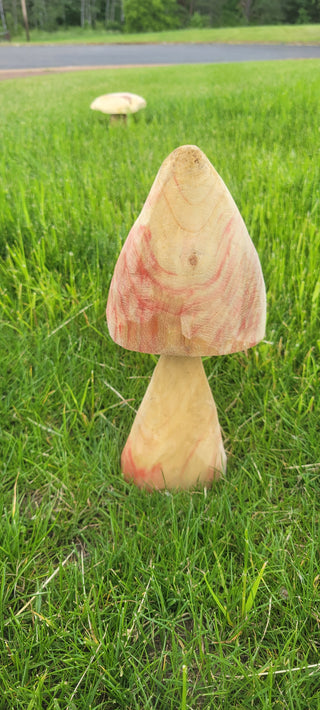 Mushroom 005