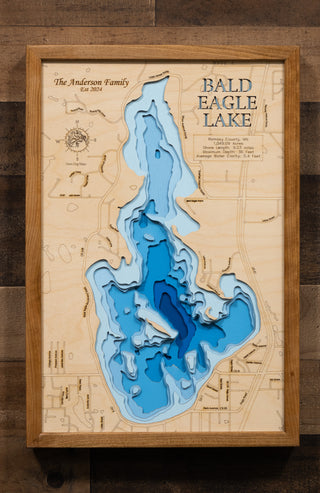 3d Lake Map - Bald Eagle Lake - Small