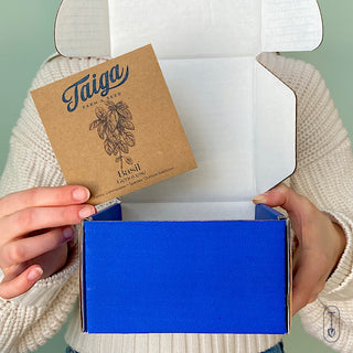 Culinary Herb Seed Collection