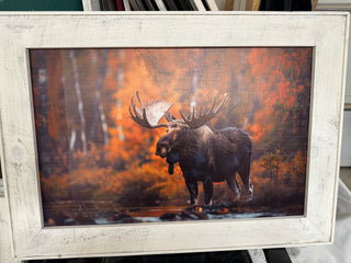 Frames Moose