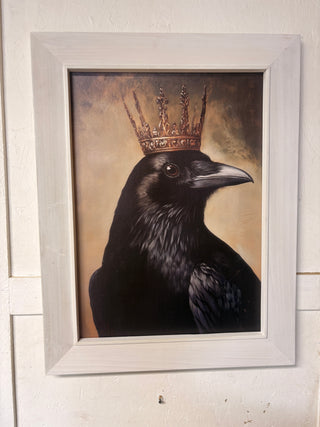 Crow /Crown. XL