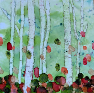 birch1