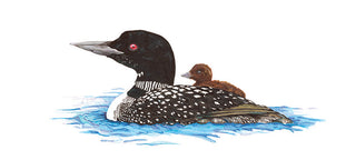 Loon Original Framed