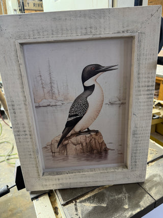 Framed black and white loons