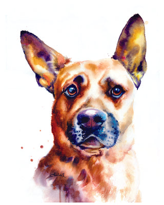 Nervous Dog Watercolor Print