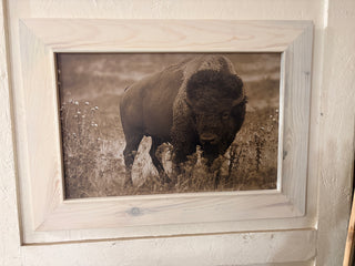Buffalo print
