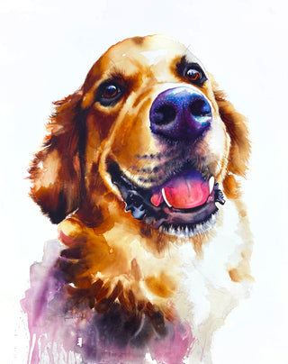 Bernese Golden Mountain Dog Original Watercolor Painting