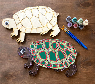 Turtle DIY