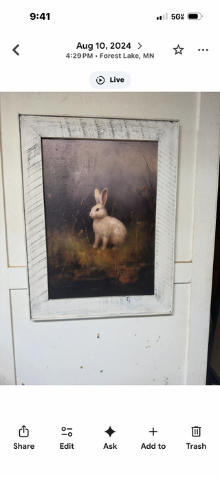 Bunny White (LF)