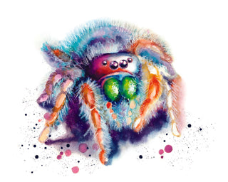 Spider Watercolor Print