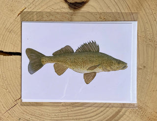 Walleye Watercolor Print Card