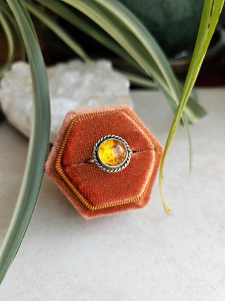 Amber Ring- Size 8