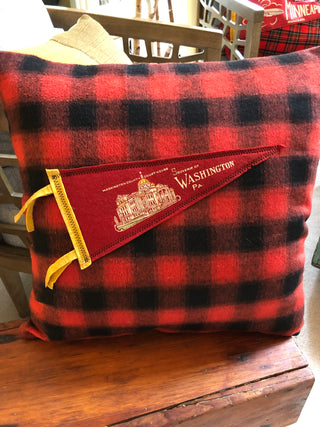 Dahlia Cottage, Washington PA pennant pillow