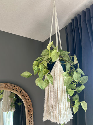 Plant Hanger - Willow