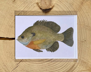 Sunfish Watercolor Print Card