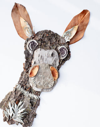 Earl Donkey Nature Art Print