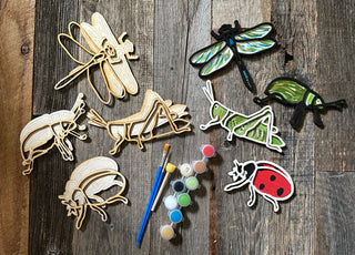 Bugs/Insects DIY painting Kit