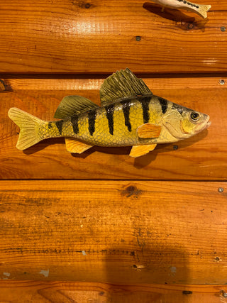 Yellow Perch - 8 Inch