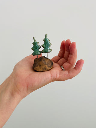 River Rock and tree