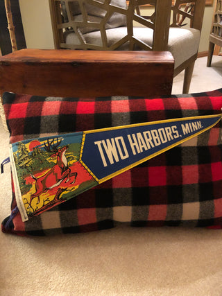 Dahlia Cottage pennant pillow
