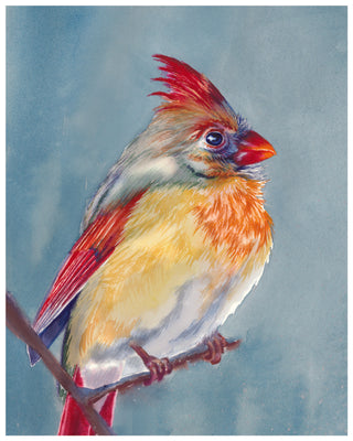 Female Cardinal Watercolor Print