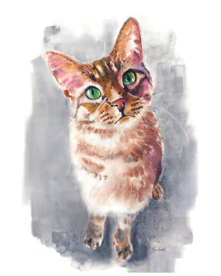 Tabby Cat Watercolor Print