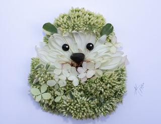 Nature Art Print: Hedgehog