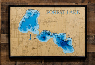 Forest Lake 3d Map