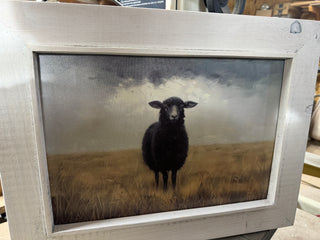 Framed Black sheep