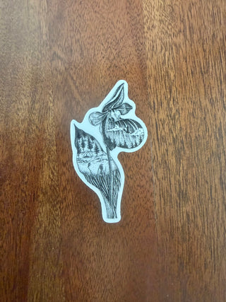 Lady Slipper stickers