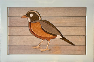 Wall Panel-Spring Robin 2L