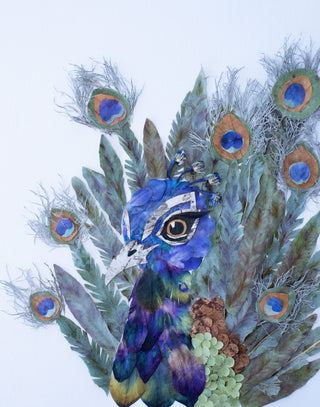Blue Peacock Nature Art Print
