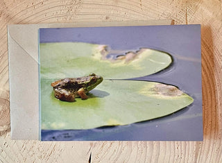 Frog on Lily Pad Photo Card