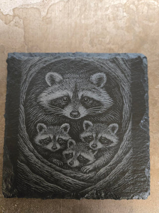 Racoons in tree slate coaster